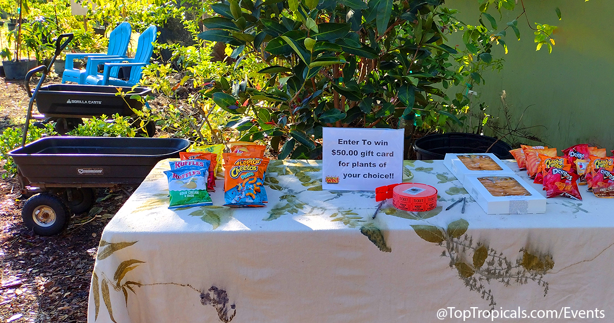 Spring Equinox Plant Market on March 21, 2026