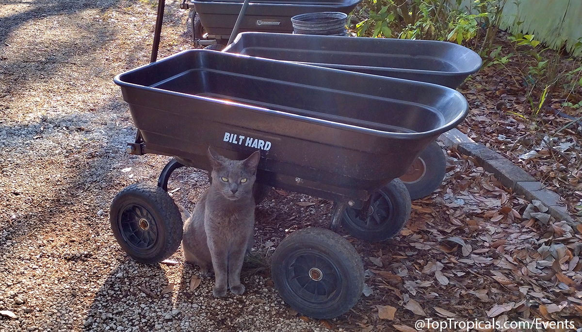 Spring Equinox Plant Market on March 21, 2026