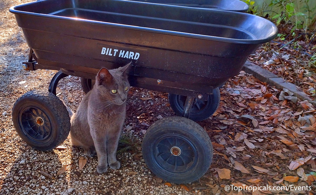 Spring Equinox Plant Market on March 21, 2026