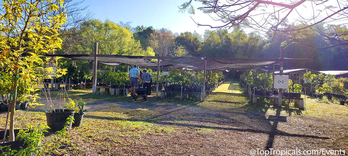 Spring Equinox Plant Market on March 21, 2026