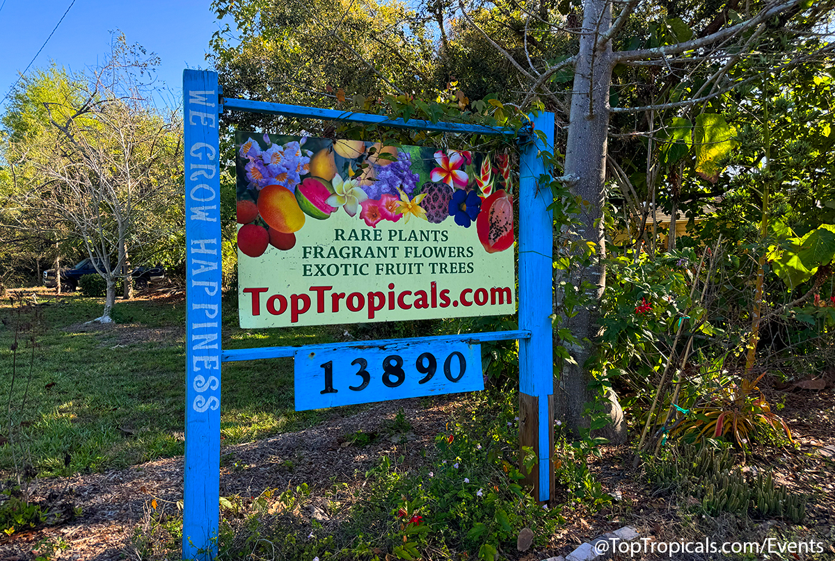 Spring Equinox Plant Market on March 21, 2026