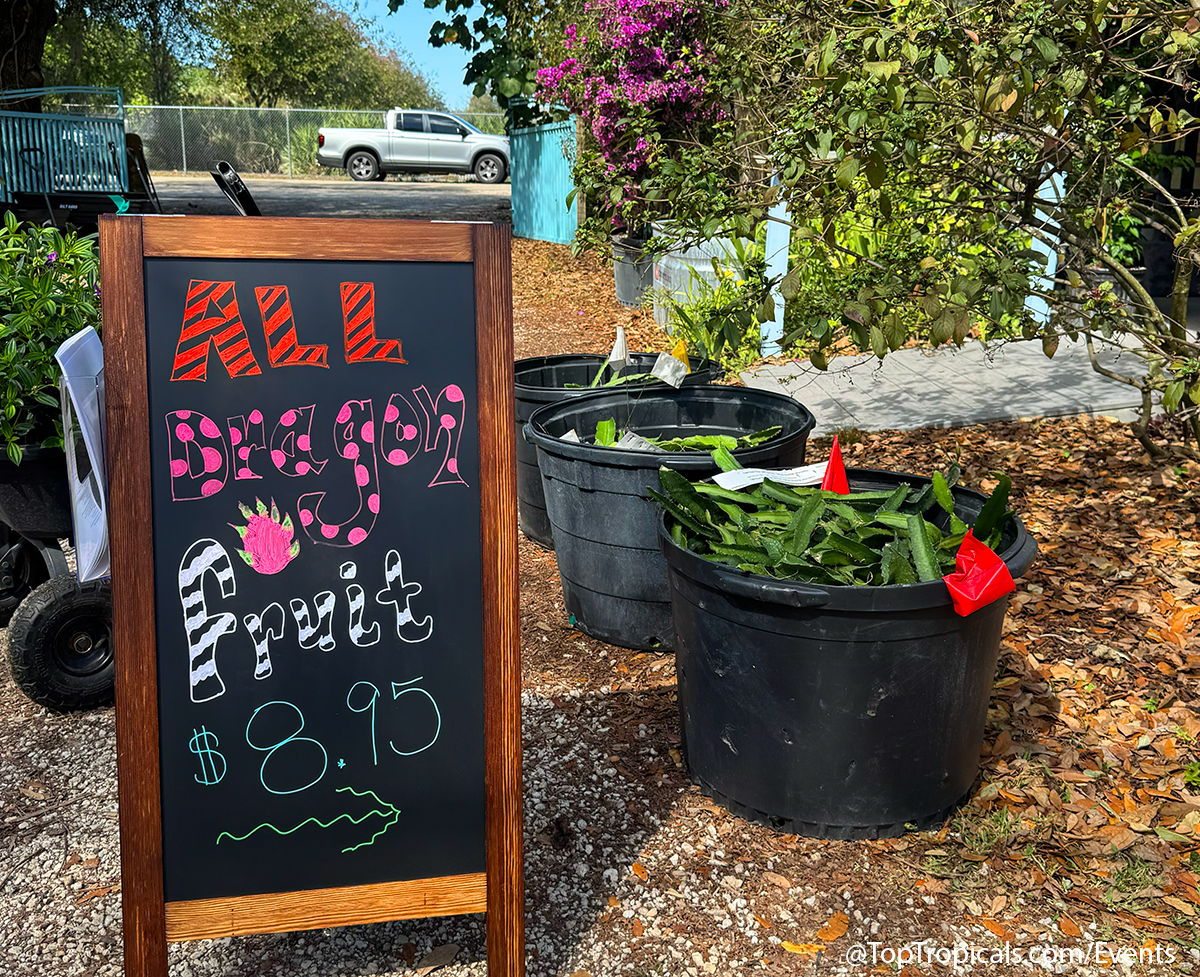 Spring Equinox Plant Market on March 21, 2026