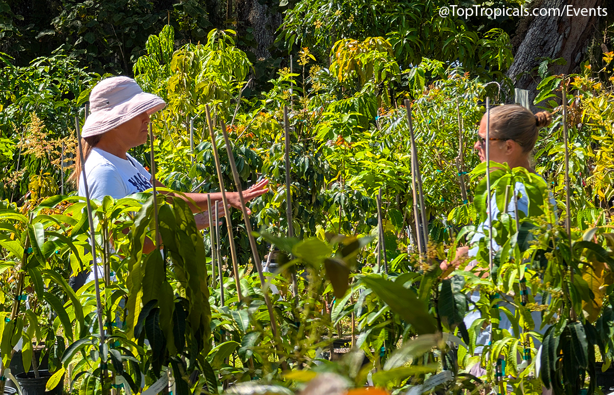 Spring Equinox Plant Market on March 21, 2026