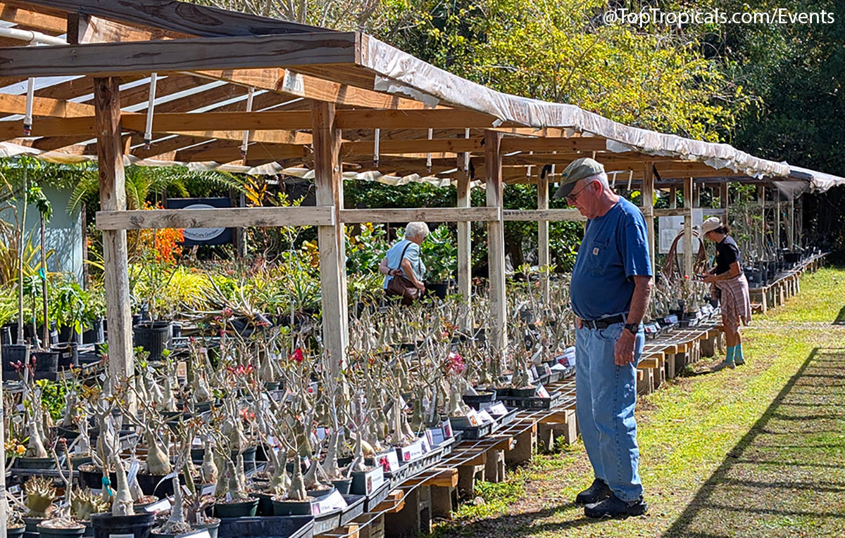 Spring Equinox Plant Market on March 21, 2026