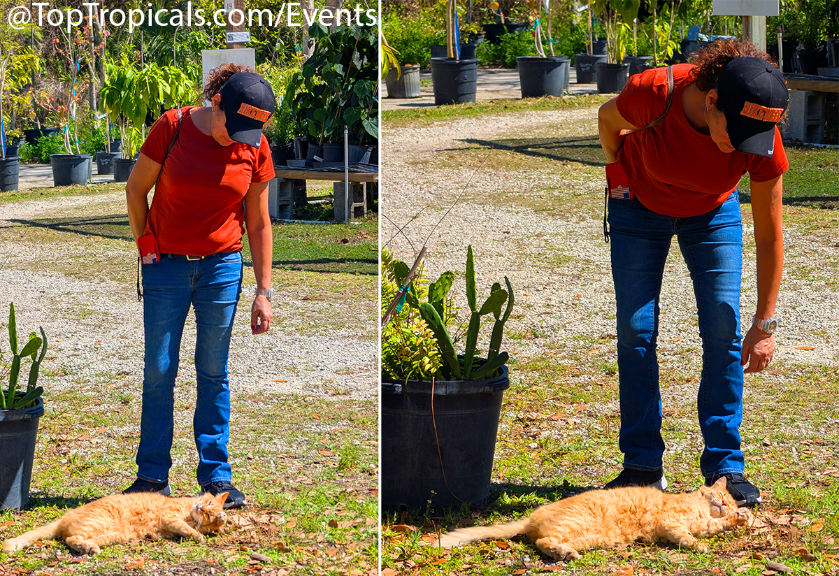 Spring Equinox Plant Market on March 21, 2026