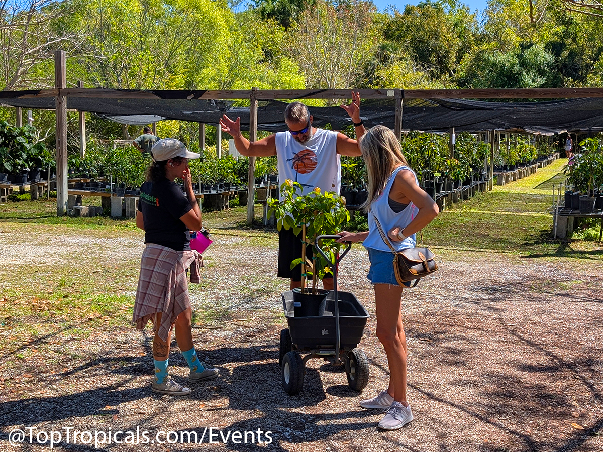 Spring Equinox Plant Market on March 21, 2026