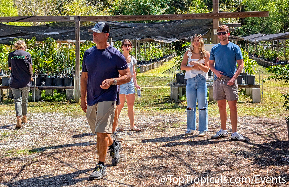 Spring Equinox Plant Market on March 21, 2026