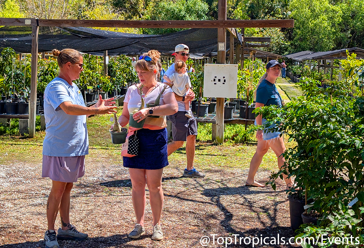 Spring Equinox Plant Market on March 21, 2026