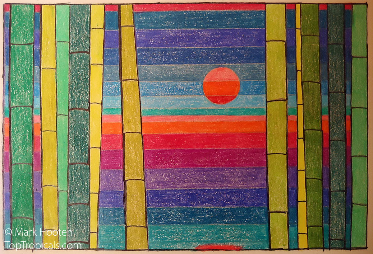 Mark Hooten. "Symphonic Bamboo". Watercolor. Late 1980's