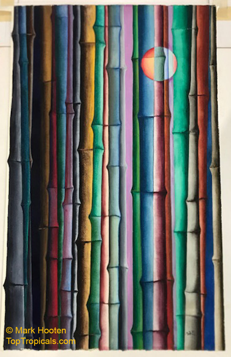 Mark Hooten. "Symphonic Bamboo". Watercolor. Late 1980's