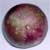 Caimito Star Apple fruit tree, Purple fruit (Chrysophyllum cainito)