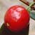 Eugenia reinwardtiana Fruit plant, Beach Cherry 