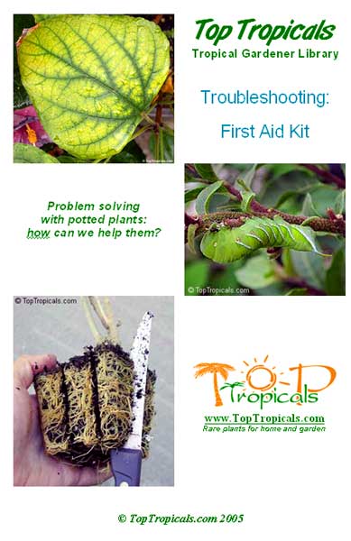 Troubleshooting First Aid Kit Book - PDF file download 