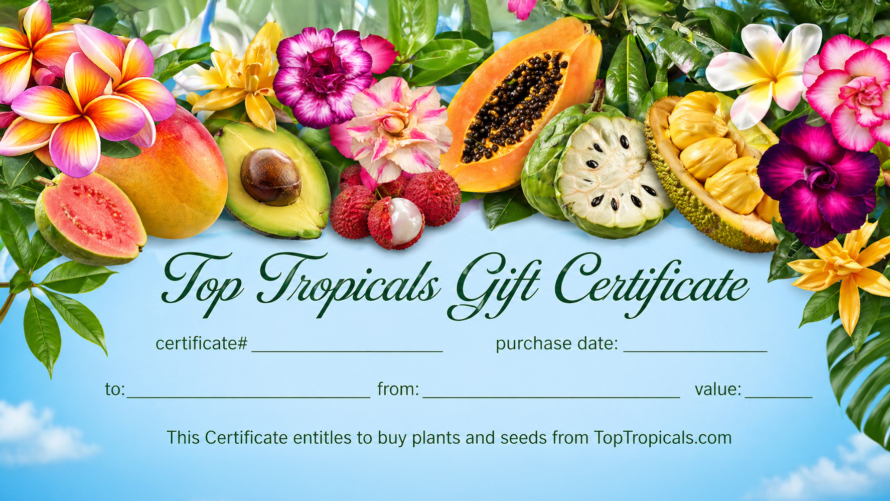 Top Tropicals gift card