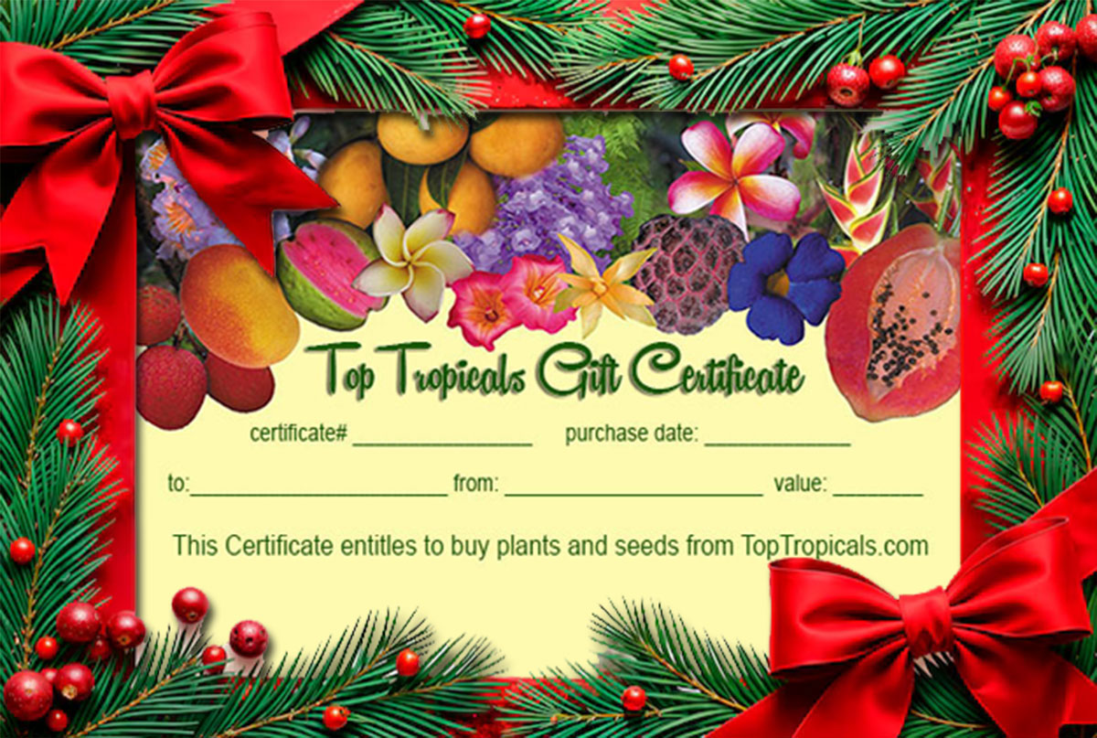 Top Tropicals gift card