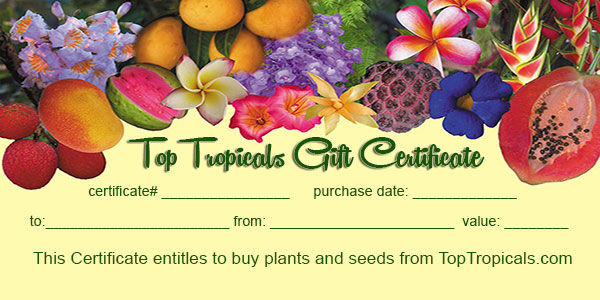 Top Tropicals Gift Certificate