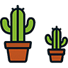 Propagation  pictogram for cactus care guide