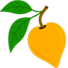 Canistel fruit icon