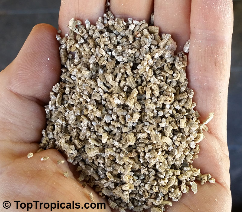 Vermiculite - soilless growing media, 1 gal bag