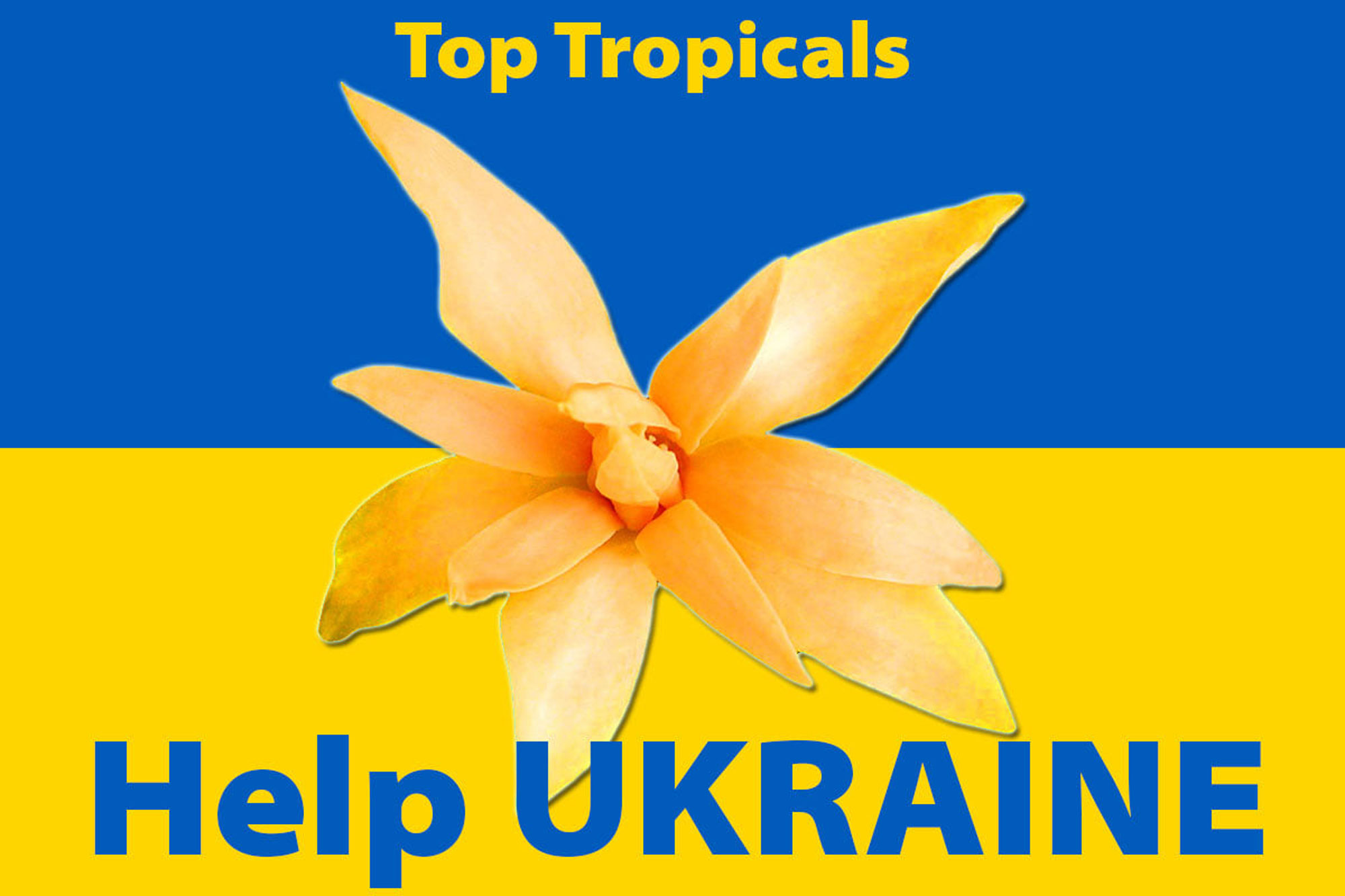 TopTropicals.com - help Ukraine
