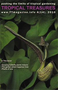 Tropical Treasures Magazine - 14 (4-2010) - hard copy

Click to see full-size image