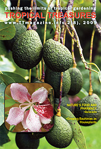 Tropical Treasures Magazine - 9 (2-2009) - PDF file download 

Click to see full-size image