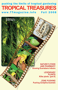 Tropical Treasures Magazine - 7 (Fall-2008) - hard copy